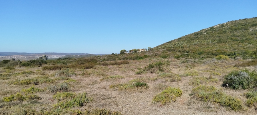 0 Bedroom Property for Sale in Mimosa Dale AH Eastern Cape